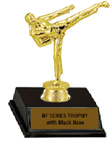 Female Base and Topper Martial Arts Trophy