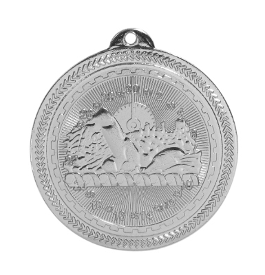 BL216 Swimming Medal with Six Pricing Options