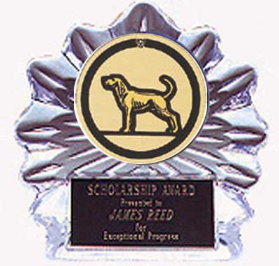 Flame Ice Coonhound Awards