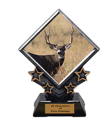 Archery Diamond Star Trophies have 3 Size Options