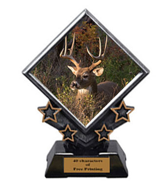 Archery Diamond Star Trophies have 3 Size Options