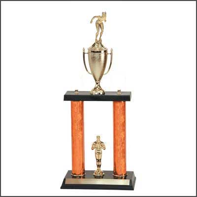 Two PC Swimming Trophy