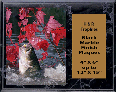 Bass Fishing Plaques Horizontal on Black Marble Finish