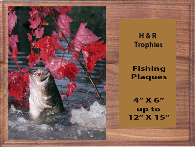 Solid Walnut Bass Fishing Plaques