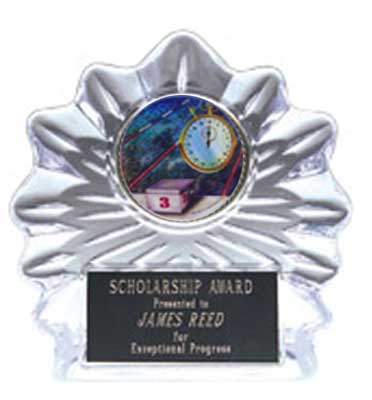 Swimming Flame Ice Award