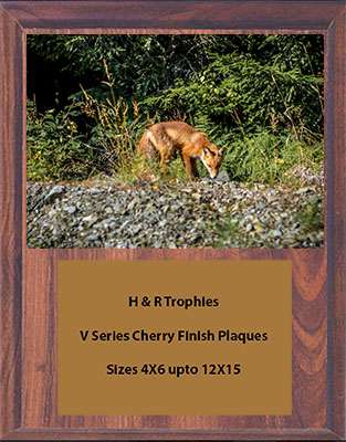 V Series Cherry Finish Fox & Coyote Plaques