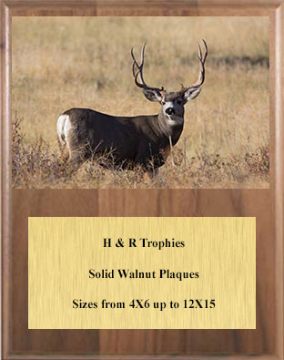 V Series Solid Walnut Image Archery Plaque