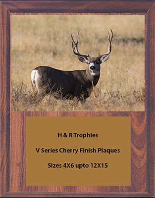 V Series Cherry Finish Archery Plaque