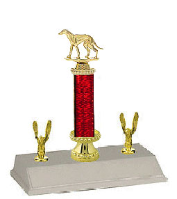 Greyhound Trophies 10 to 18 inches tall