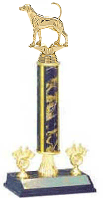 Field Trial Trophies with double trim