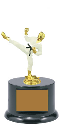 RB08-80155CL Male Base and Topper Martial Arts Trophy