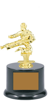 Male Base and Topper Martial Arts Trophy