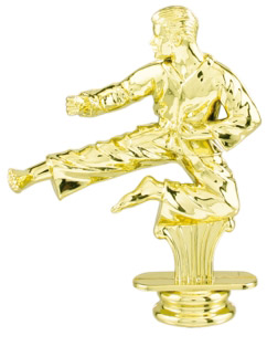 Male Karate Trophy Figure RP84165