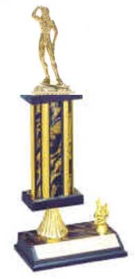 Bodybuilder Trophies, Weight Lifter Trophies, Power Lifter Trophies