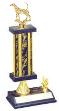 Great for Derby and All-Age Trophies