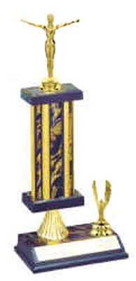 Gymnastics Trophies S2R Style, 5 Levels of Pricing, As Low as $7.99
