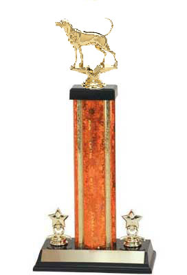 S3 Coonhound Bench Show Trophies with a single rectangular column and trim.