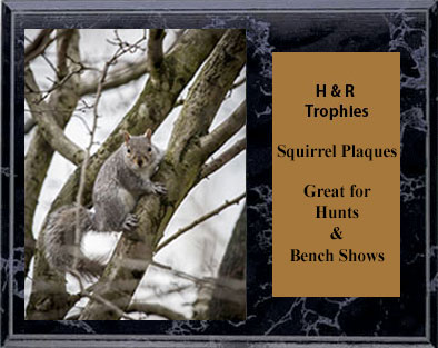 The BMH-SQ is available in 8 size options.