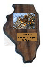 Plaques in shape of the state of Illinois