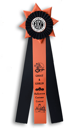 TR122FT a 6 X 19 inches Field Trial Rosette Ribbon 