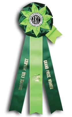 TR145FT a 6X 18 inches Field Trial Rosette Ribbon 