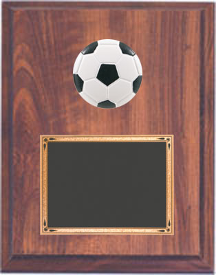 TRM7233 Soccer Plaque Deluxe