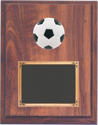 TRM7233 Soccer Plaque Deluxe