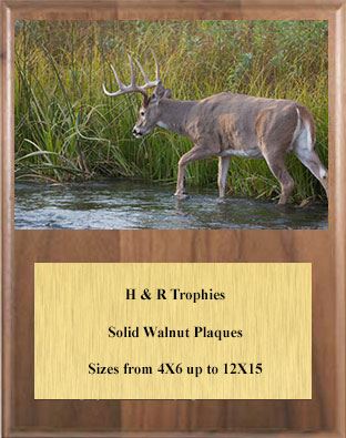 V Series Solid Walnut Image Archery Plaque