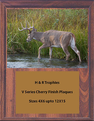 V Series Cherry Finish Archery Plaque