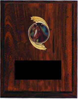 Equestrian Plaques with Insert