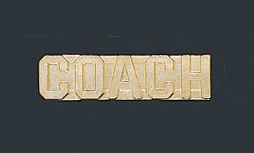Coach Letter Pin chen120