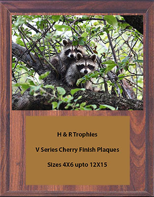 V Series Cherry Finish Nite Hunt Plaque