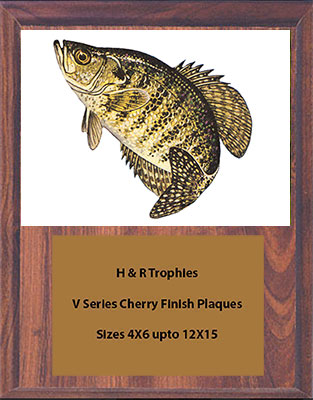 V Series Cherry Finish Crappie Plaques
