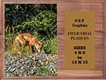 Genuine Walnut H Series Fox & Coyote Plaques
