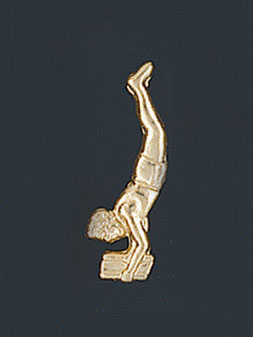 Male Gymnastics Letter Pin