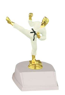 Small Karate, Judo and Other Martial Arts Trophies