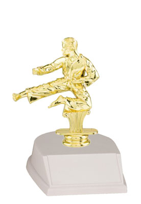 Small Karate, Judo and Other Martial Arts Trophies