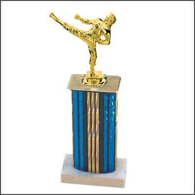 Martial Arts Trophies 8