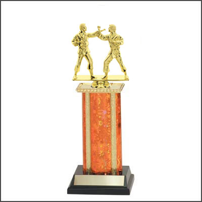 Martial Arts Trophies 8