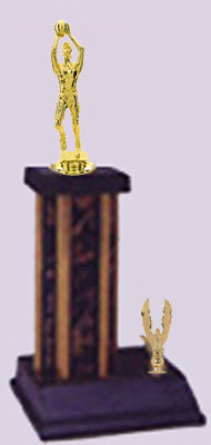 Youth Basketball Trophies