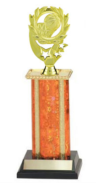 Gender Neutral Basketball Trophies, 8 to 18