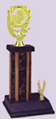 Gender Neutral Basketball Trophies, 8 to 18