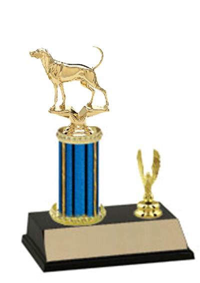 R2 Style Coon Hound Bench Show Trophies