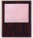 9x12 photo plaque