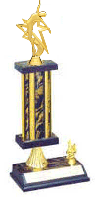S2R Dance Trophies 10 to 18 inches tall with riser and trim