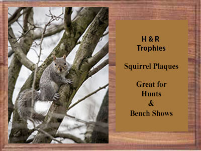 This squirrel plaque is available in 8 size options.