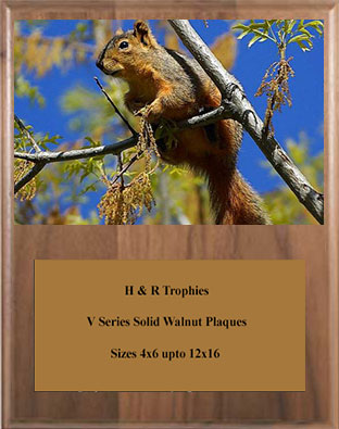 Squirrel Plaques in various sizes.