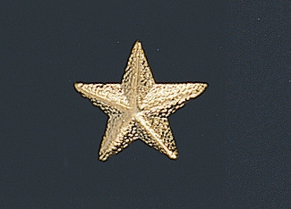 Gold Star Jacket Letter Pin