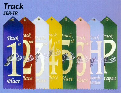 Card and String Track Ribbons in Packs of 25