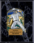 Check Out Our Volume Discounts on this Baseball Plaque